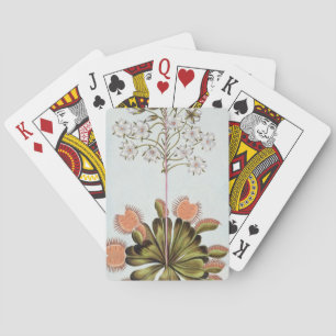 Jeu De Cartes Venus Fly-trap, plate 84, from 'Collection Precieu