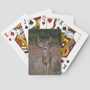 JEU DE CARTES VERROUILLER