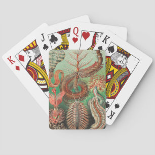 Jeu De Cartes Vers, Annélides Chaetopoda par Ernst Haeckel