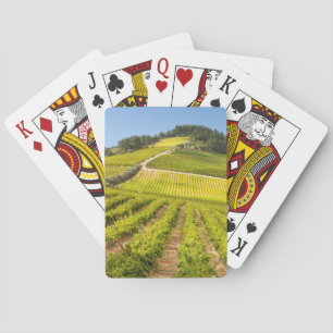 Jeu De Cartes Vignoble, Stellenbosch, Cap-Occidental