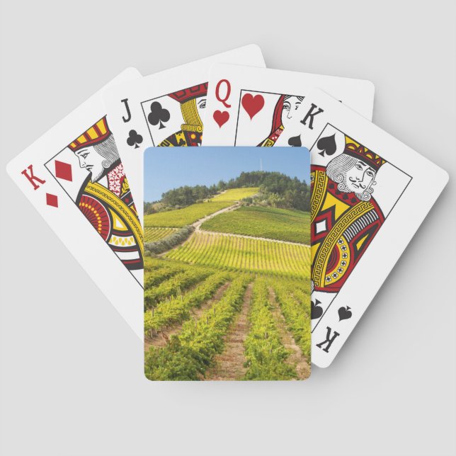 Jeu De Cartes Vignoble, Stellenbosch, Cap-Occidental (dos)
