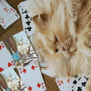 Jeu De Cartes Viking Cat Blue Dragon