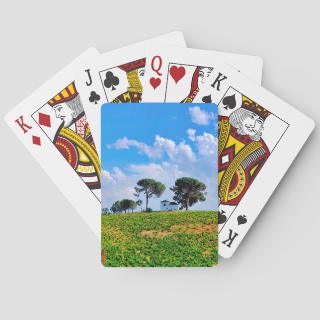 Jeu De Cartes Viña de Los Pinos (dos)
