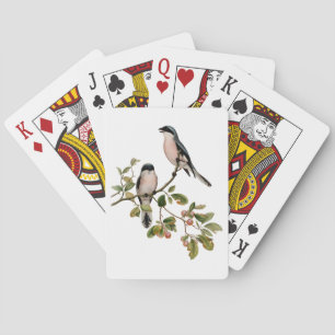 Jeu De Cartes Vintage de beaux oiseaux sur une branche