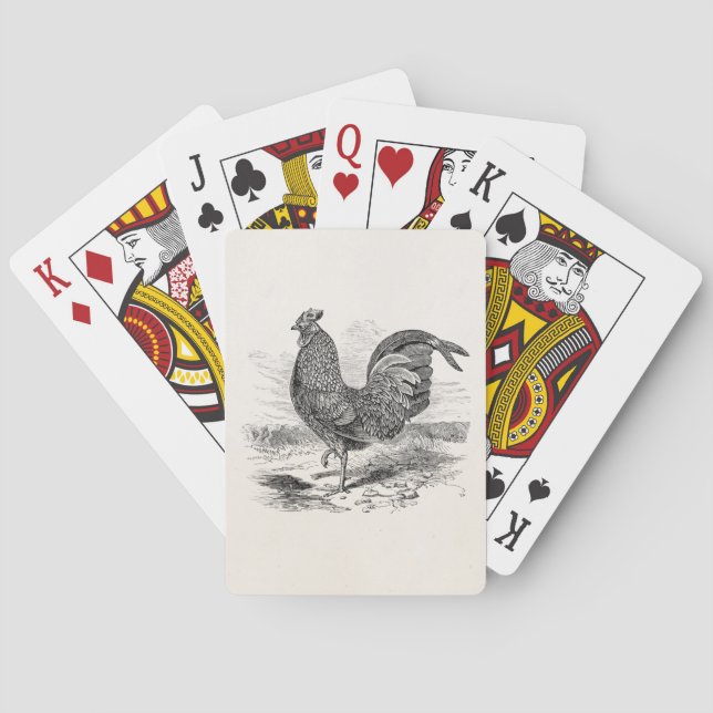 Jeu De Cartes Vintage Kulm Fowl Rooster Chicken - Chickens Hen (dos)