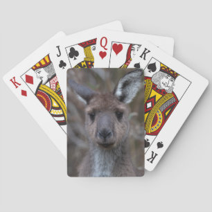 Jeu De Cartes Visage de Kangaroo