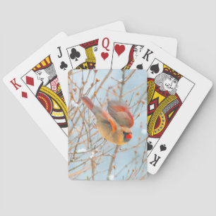 Jeu De Cartes Vol Cardinal Nord - Photo originale