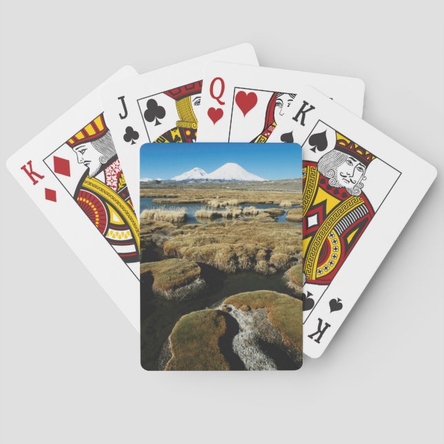 Jeu De Cartes Volcans Payachalas (dos)