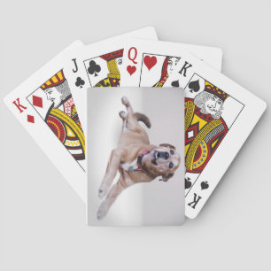 Jeu De Cartes Votre photo d'animal de compagnie sur les cartes à