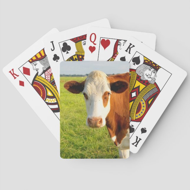 Jeu De Cartes Vue de face vache frisonne (dos)