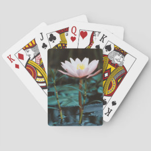 Jeu De Cartes Vue rapprochée de nénuphar à Inle Lake