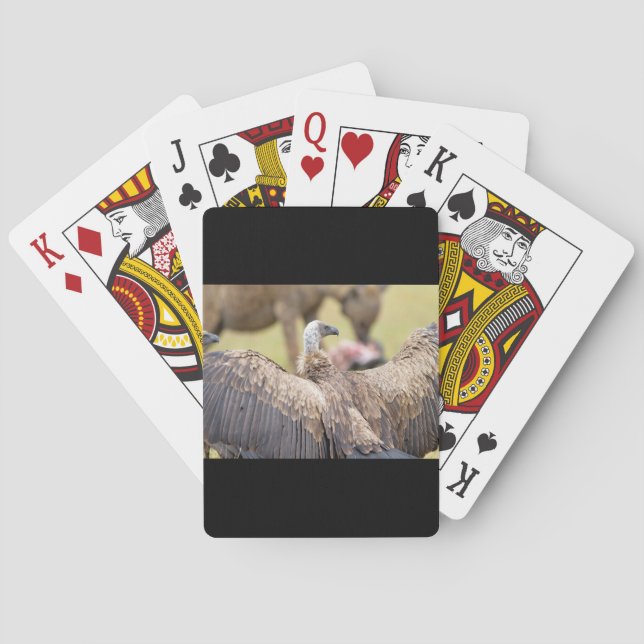 Jeu De Cartes Vulture (dos)