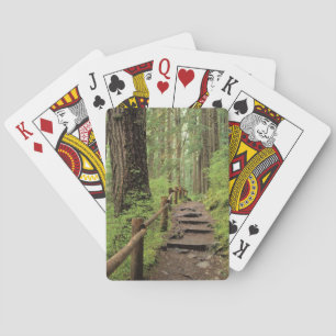 Jeu De Cartes WA, parc national olympique, vallée de Sol Duc, fo