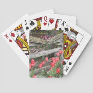 Jeu De Cartes WA, vallée de Skagit, jardin de tulipes Roozengaar
