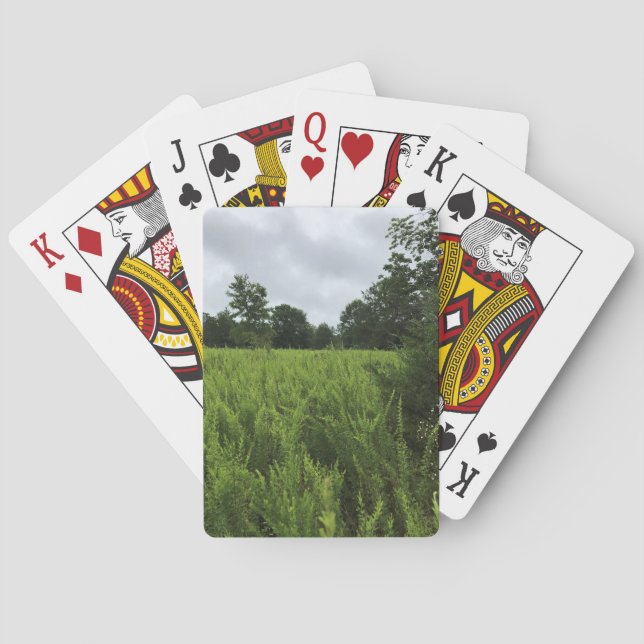Jeu De Cartes Walking in the Forest, Chester, Caroline du Sud Ca (dos)