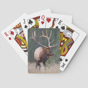 Jeu De Cartes Wapiti des montagnes Rocheuses