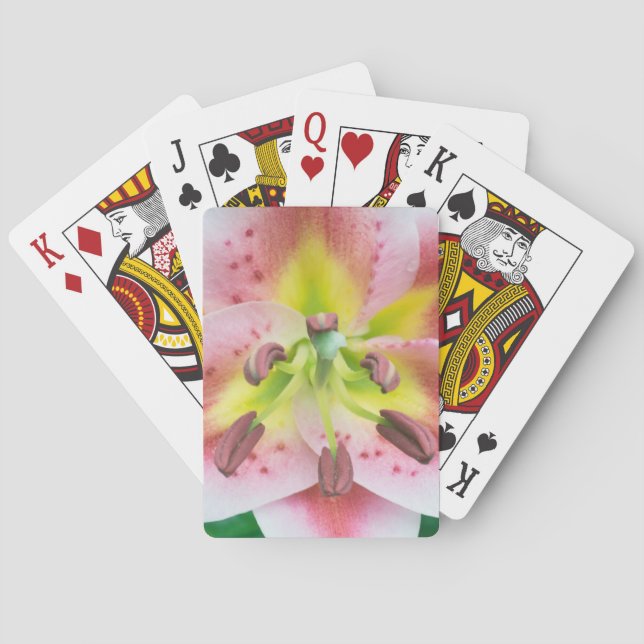 Jeu De Cartes Washington, Bellevue, Lily (dos)