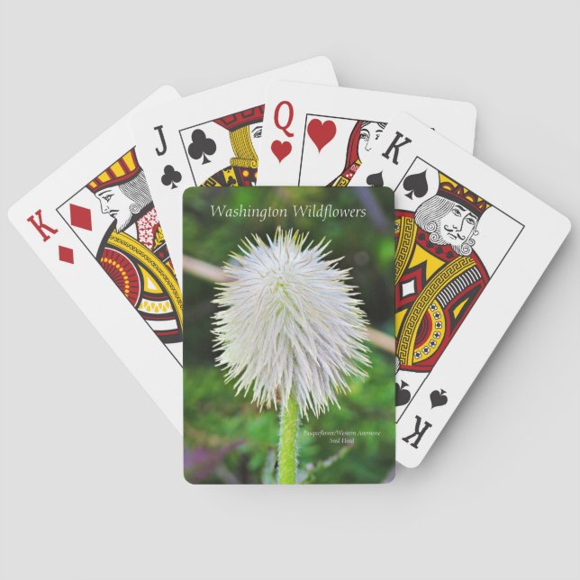 Jeu De Cartes Washington Wildflower Pasqueflower White Seed Head (dos)