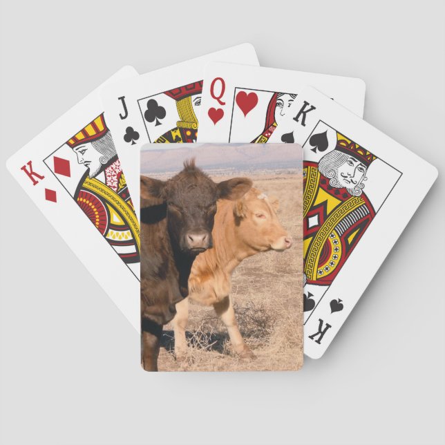 Jeu De Cartes Western Cattle Cows Walking Together Rural Scene (dos)
