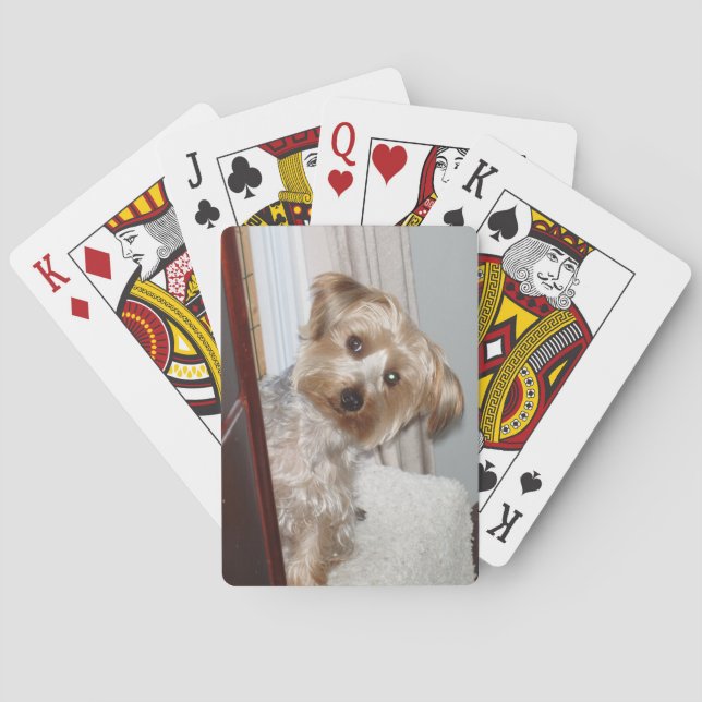 Jeu De Cartes Westie adorable/Yorkie (dos)