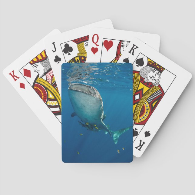 Jeu De Cartes Whale Shark and Fish (dos)