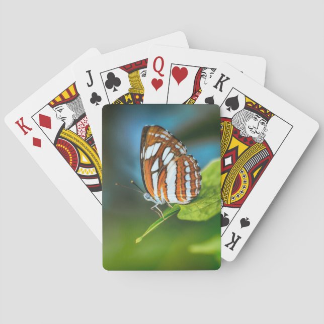 Jeu De Cartes White and Orange Striped Butterfly (dos)