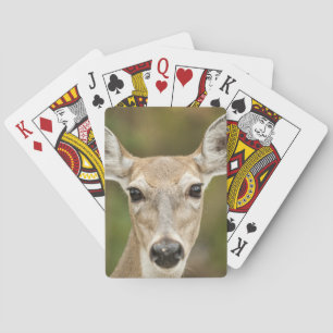 Jeu De Cartes White Tailed