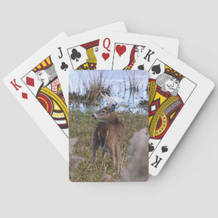 Jeu De Cartes Whitetail Buck Lecture Cartes