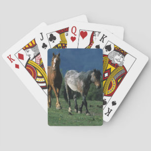 Jeu De Cartes Wild Mustang Horses