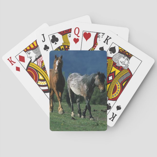Jeu De Cartes Wild Mustang Horses (dos)