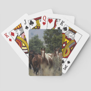 Jeu De Cartes Wild Mustang Horses 2