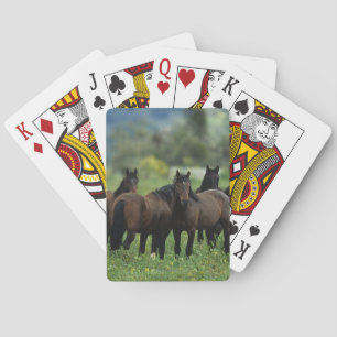 Jeu De Cartes Wild Mustang Horses 3
