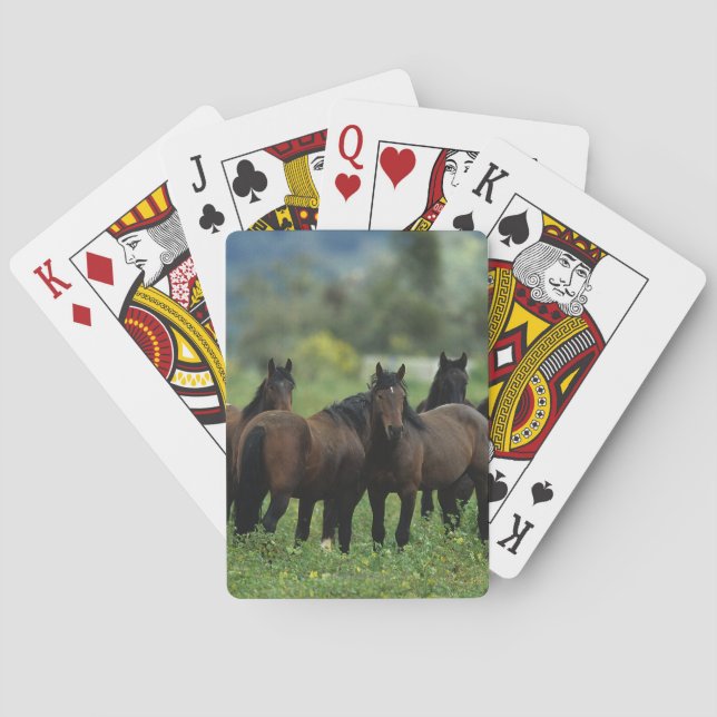 Jeu De Cartes Wild Mustang Horses 3 (dos)