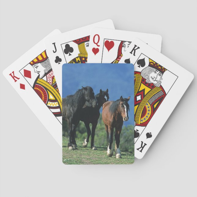 Jeu De Cartes Wild Mustang Horses in the Mountains (dos)