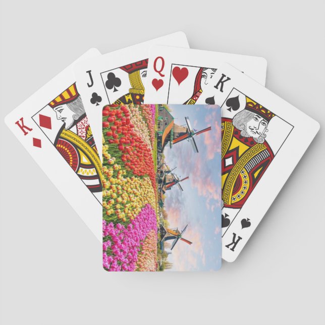 Jeu De Cartes Windmills, Keukenhof, Pays-Bas (dos)