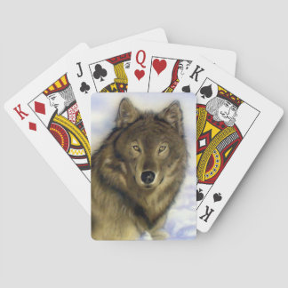 Jeu De Cartes Winter Wolf Playing Cards