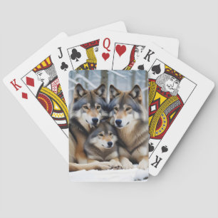 Jeu De Cartes Wolf Animal Nature Faune Affection Soin