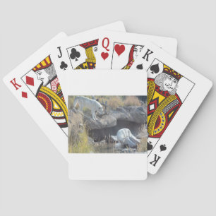 Jeu De Cartes Wolves Forêt Nature Pays Paix Aimer Animal