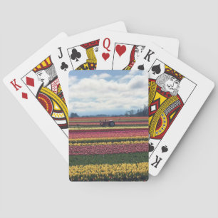 Jeu De Cartes Wooden Shoe Tulip Farm, Woodburn, Oregon