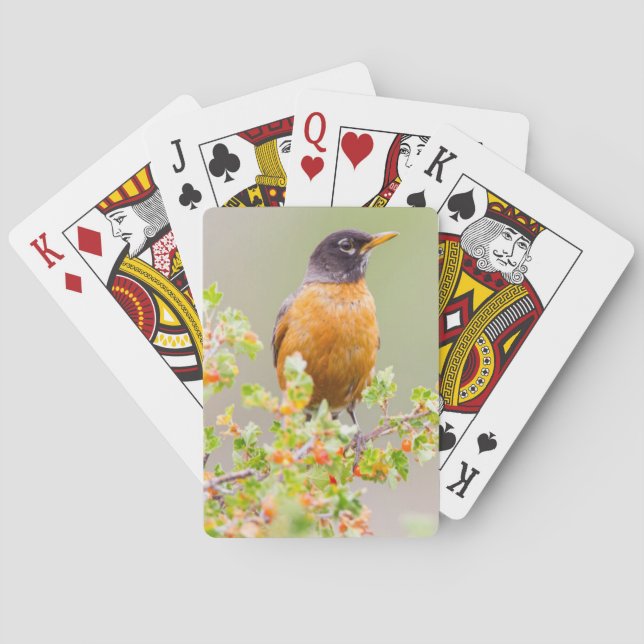 Jeu De Cartes Wyoming, Comté De Sublette, Un Robin Américain (dos)