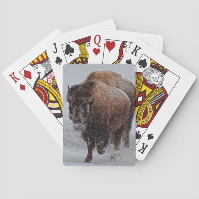 Jeu De Cartes Yellowstone Bison (dos)