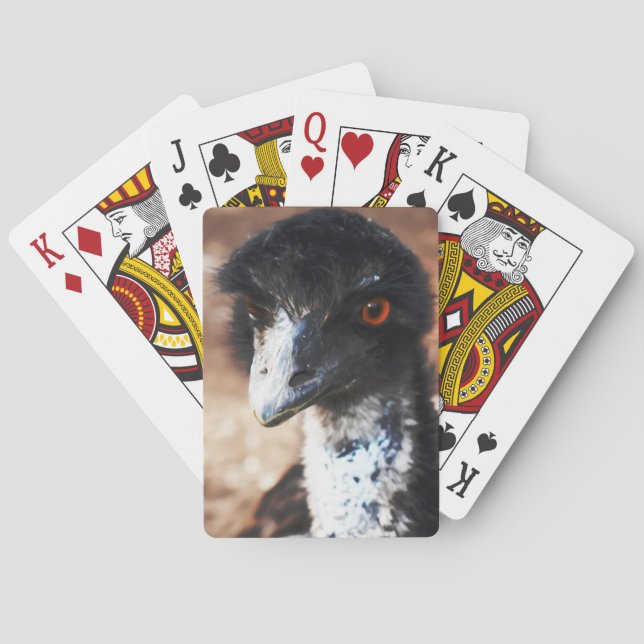 Jeu De Cartes Yeux perçants de l'Outback (dos)