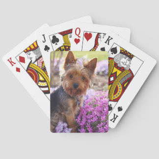 Jeu De Cartes Yorkshire Terrier Jouer des cartes