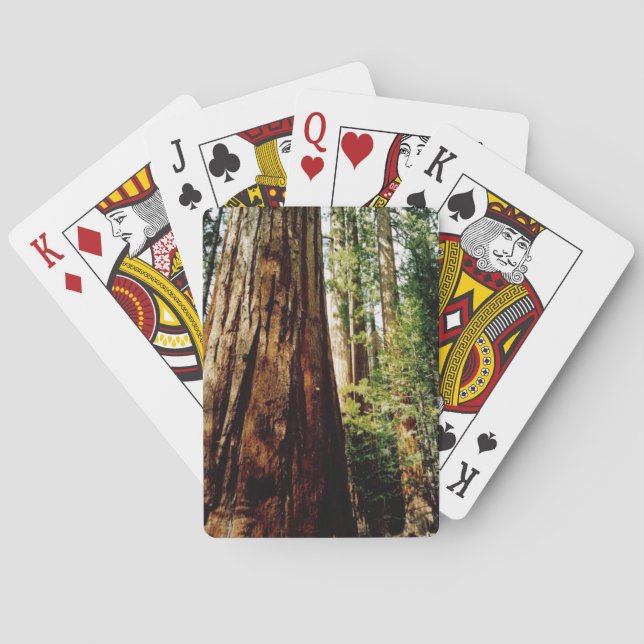 Jeu De Cartes Yosemite séquoia (dos)