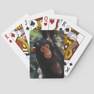Jeu De Cartes Young Chimpanzee