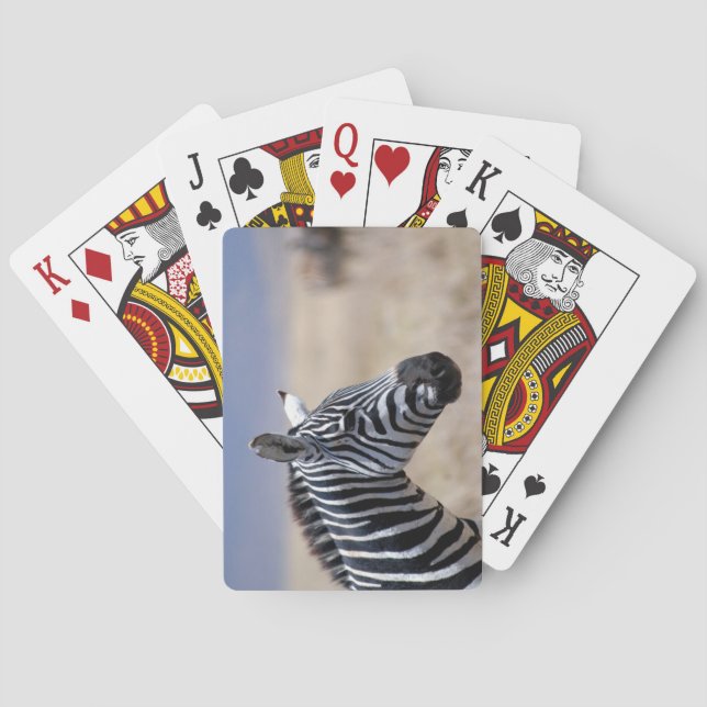 Jeu De Cartes Zèbre (dos)