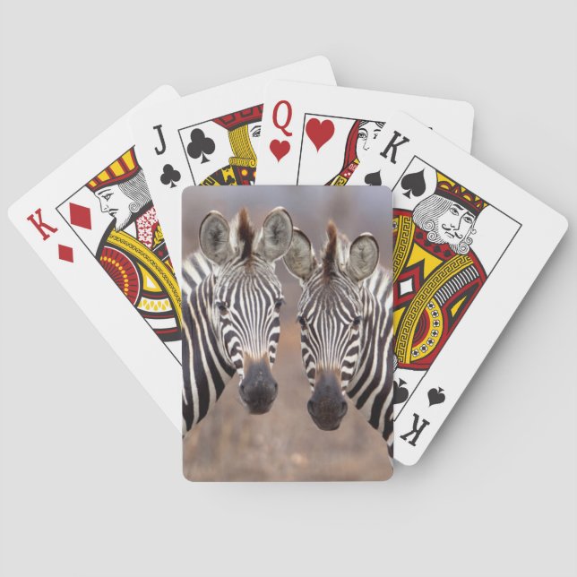 Jeu De Cartes Zèbres des plaines, Parc national Kruger (dos)