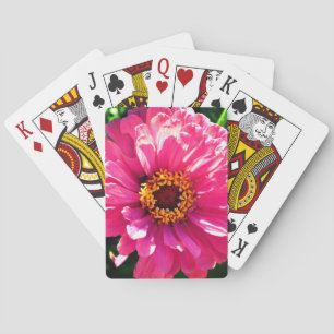 Jeu De Cartes Zinnia rose