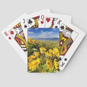 Jeu De Cartes Zone nationale des bisons
