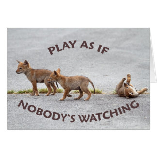 Jeu de coyotes de bébé